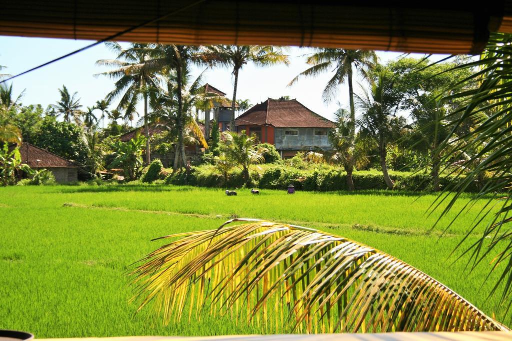 The Happy Mango Tree Vandrarhem Ubud Exteriör bild